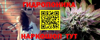 гидропоника Пушкино