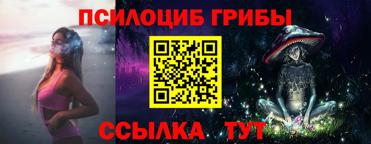 Псилоцибиновые грибы Magic Shrooms  Галлюциногенные грибы Psilocybine cubensis  Острогожск  Вход с VPN 